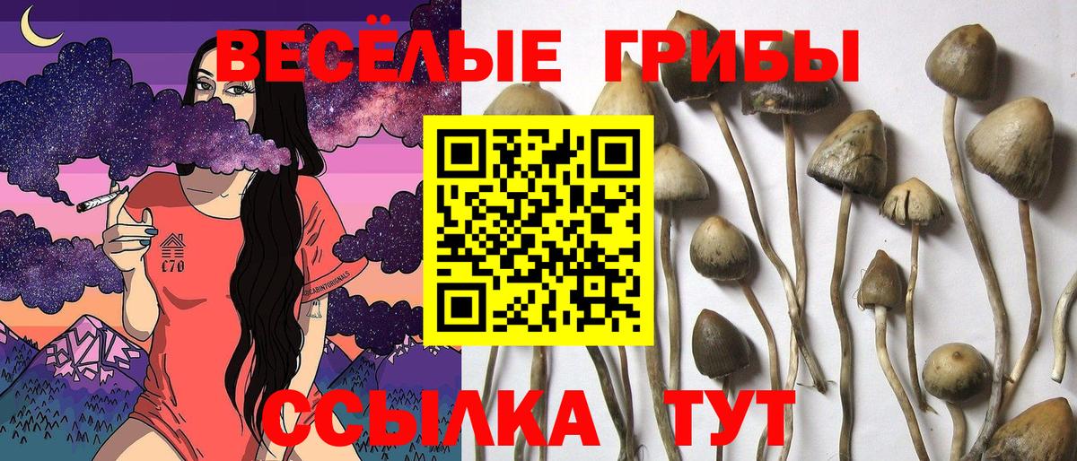 Галлюциногенные грибы прущие грибы Зеленодольск