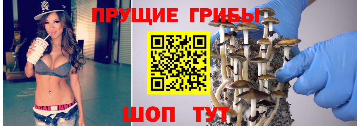 Галлюциногенные грибы Cubensis  Вход с VPN  Псилоцибиновые грибы прущие грибы  Зеленодольск 